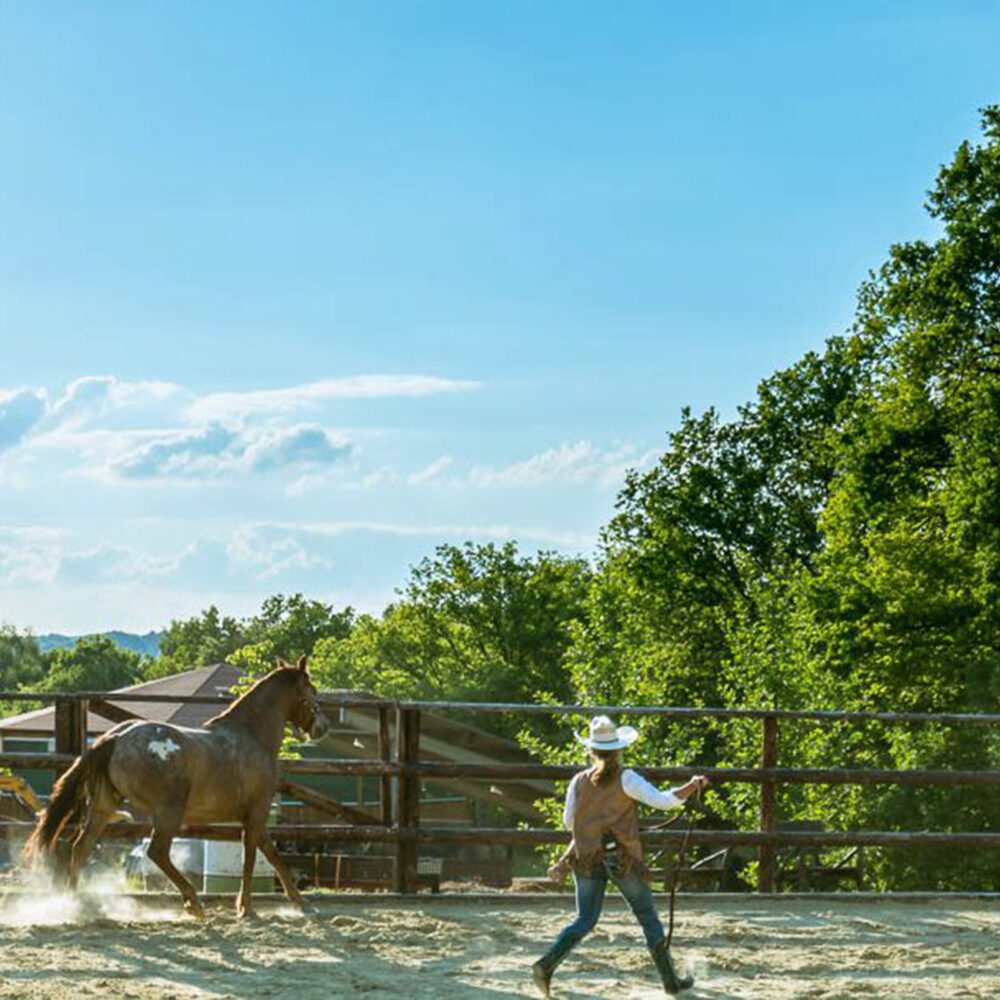 Paulinenhof Appaloosa Ranch