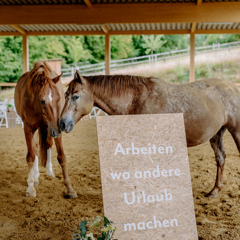 Paulinenhof Appaloosa Zucht